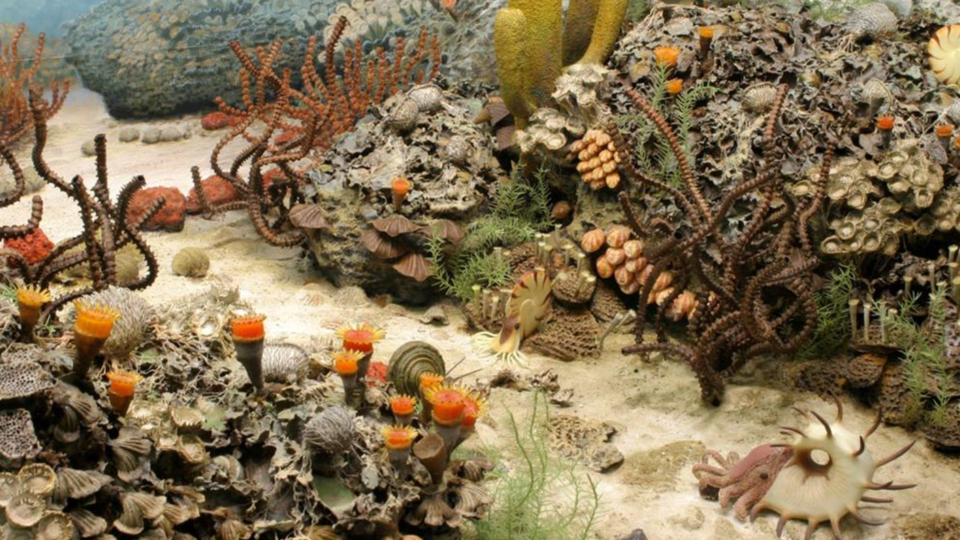 Mass Extinction Event Offers Insight Into Modern Biodiversity Crisis