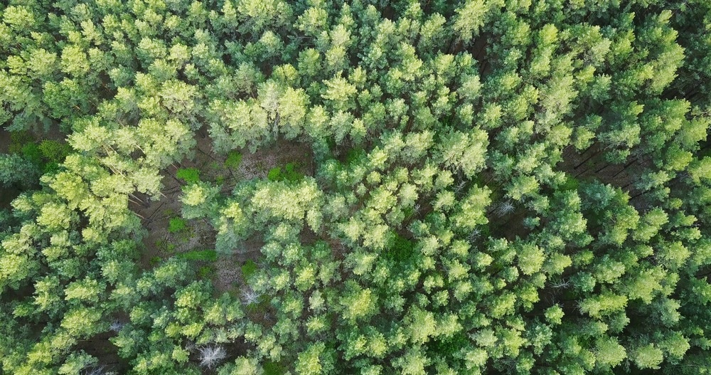 Natural Aerosols Degrade Air Quality Under Warming Temperatures