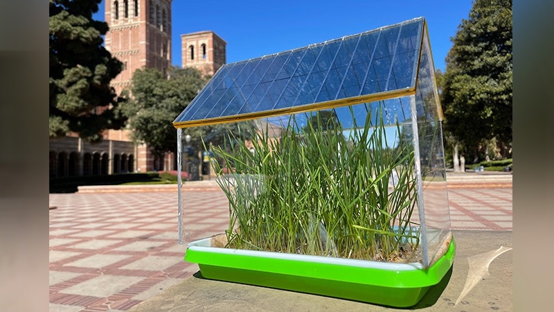 Promising Solar-Energy-Harvesting Technology Emerges