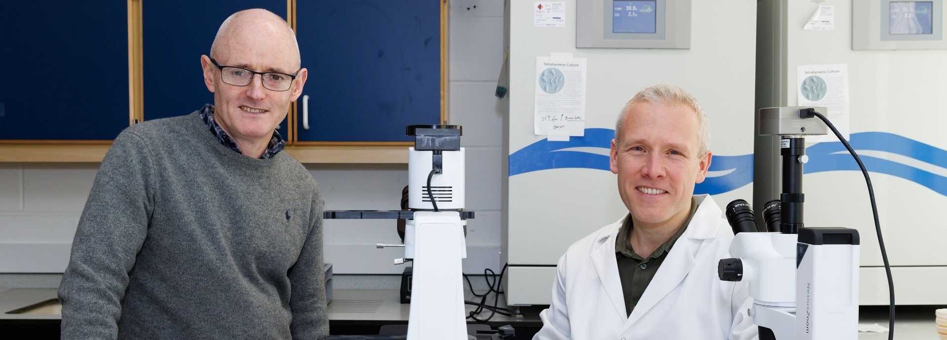 Highly Scalable and Powerful Route to Sequester Greenhouse Gas