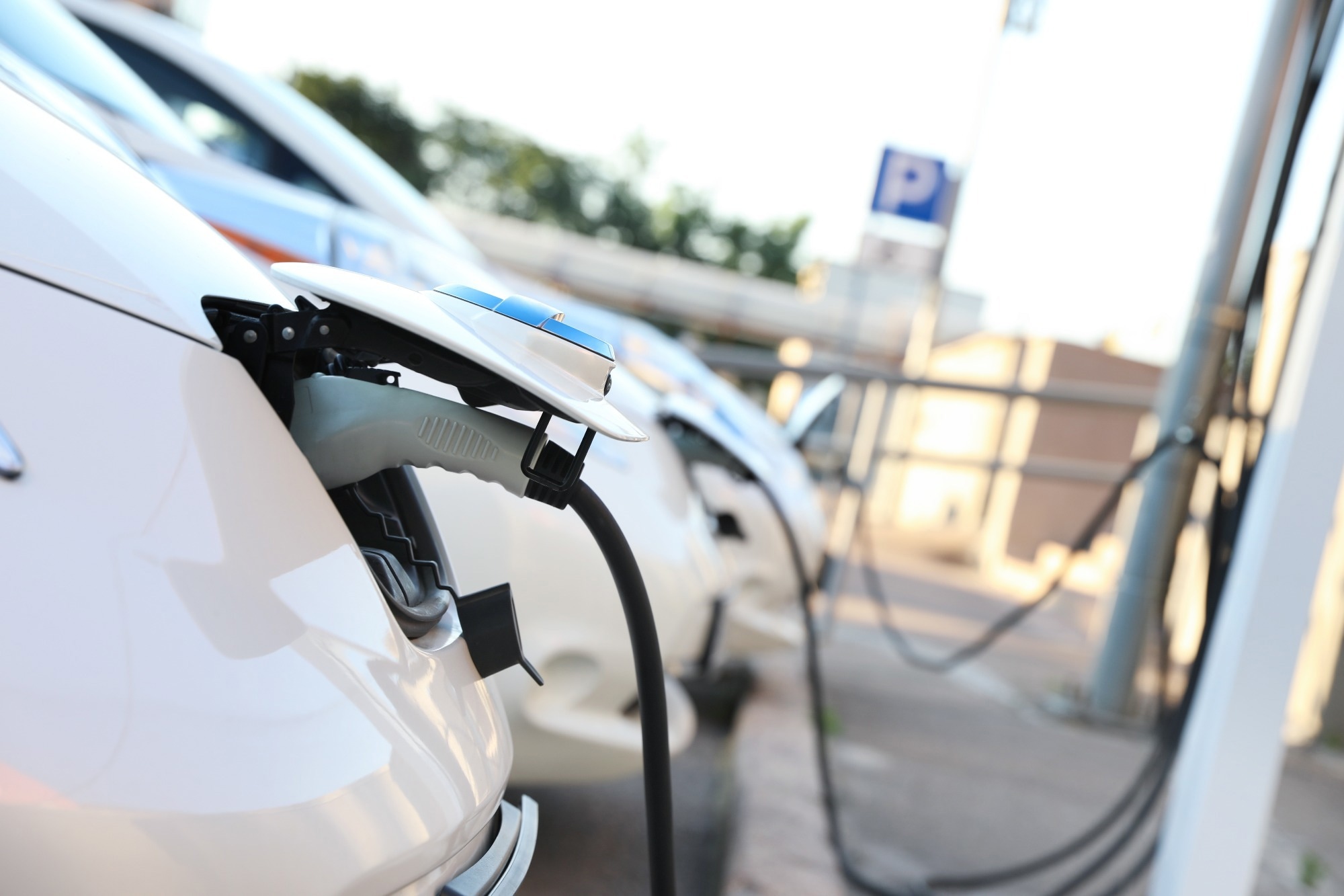 Strategic Mitigation: Minimizing the Environmental Impact of Electric Vehicles