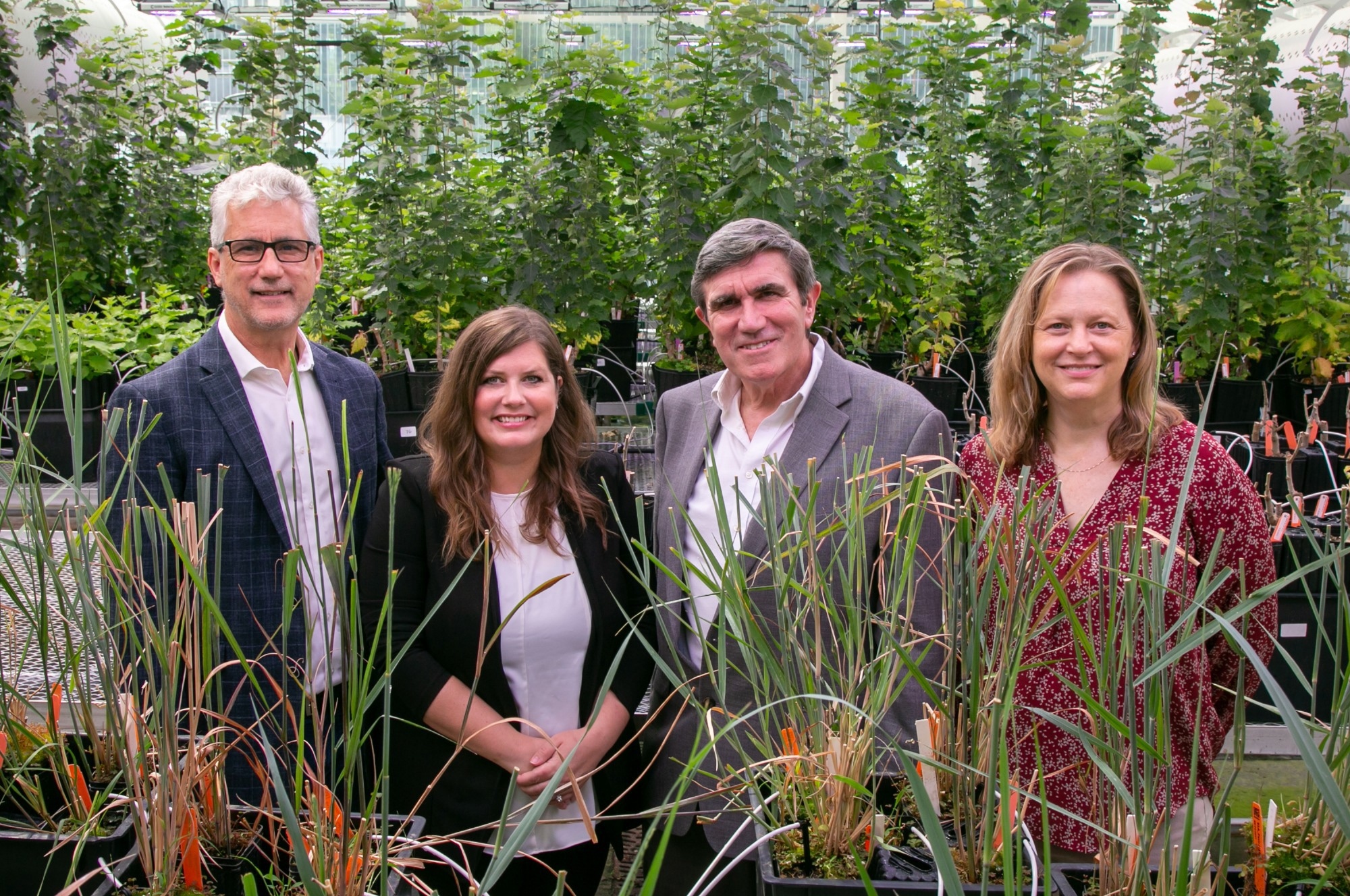 DOE Funding Promotes the Production of Plant-Based Fuels and Chemicals.