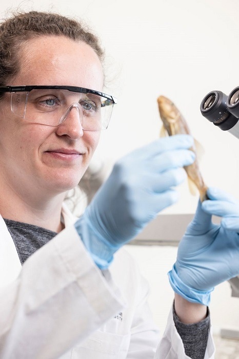 How Does Climate Change Impact Parasite Biodiversity?
