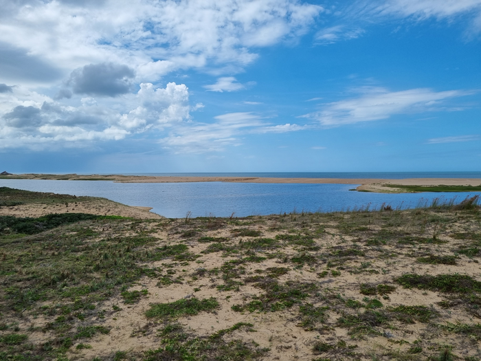REST-COAST Summer Workshop Focuses on Coastal Management and Restoration