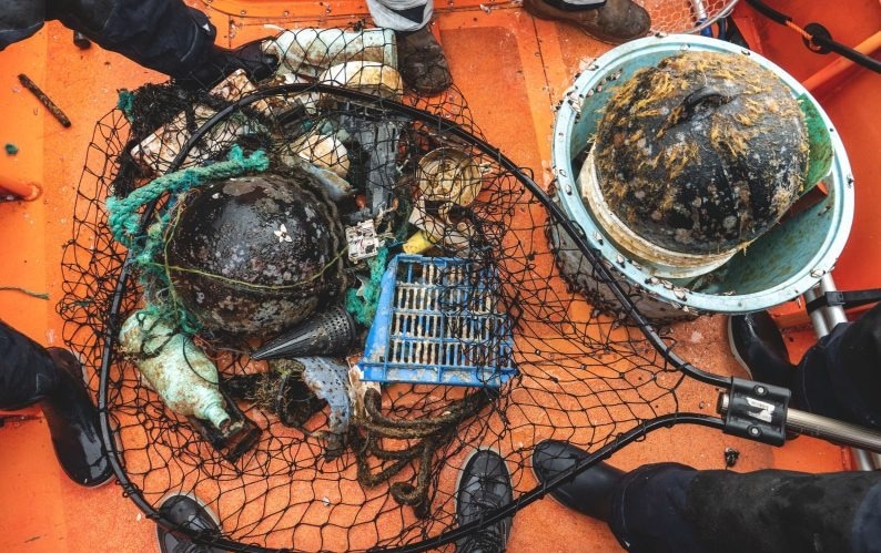 Neopelagic Communities and Their Survival on High Seas