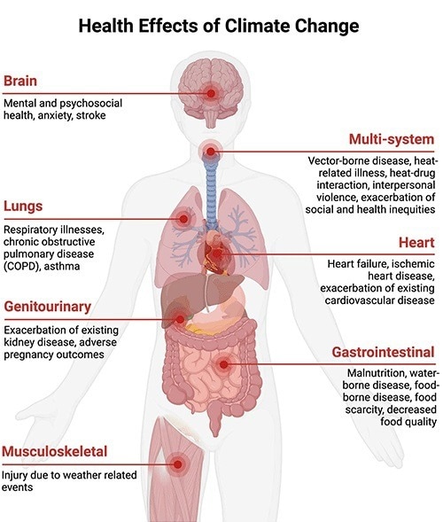 Is Radiology the Key to a More Sustainable Healthcare System?