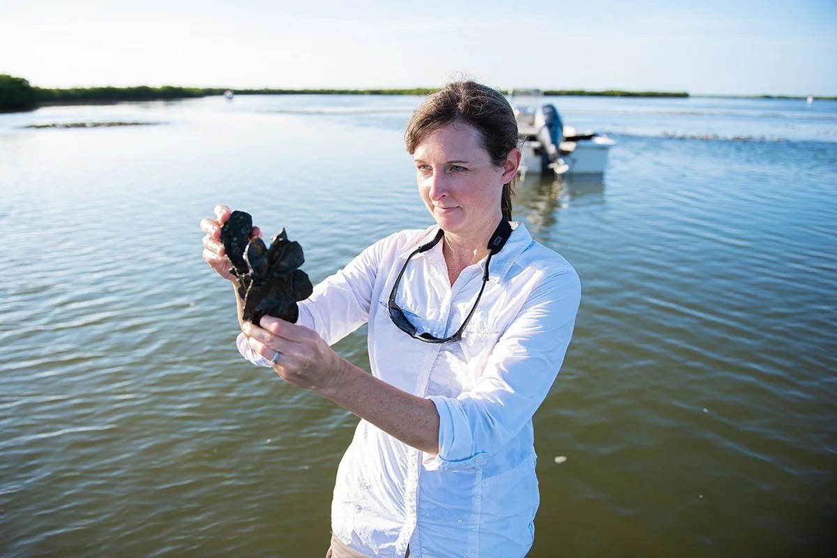Transferable Design for Oyster-Based Shoreline Protection