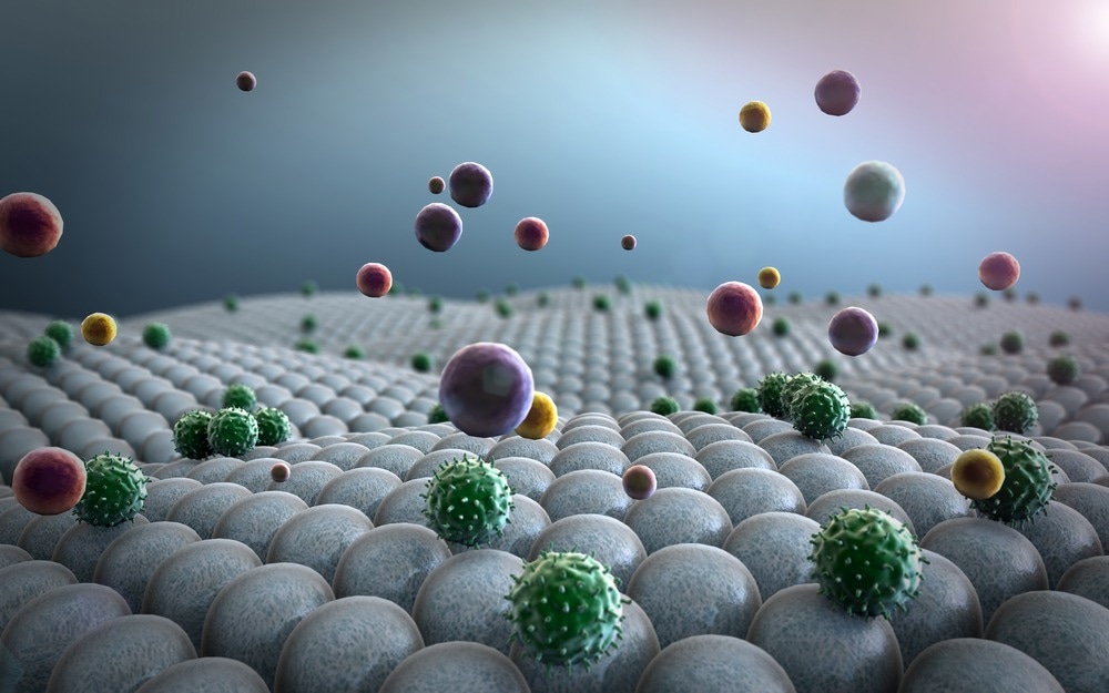 How Does Air Pollution Compromise the Human Immune System?