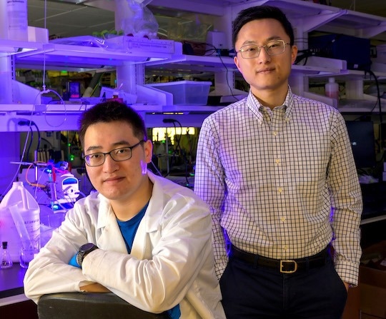 How is Electrochemical Technology Transforming Carbon Dioxide Capture?