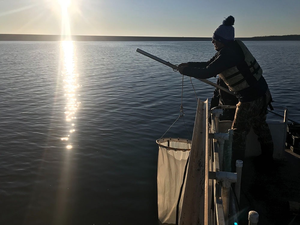 Microplastic Contamination Studied on a Global Scale