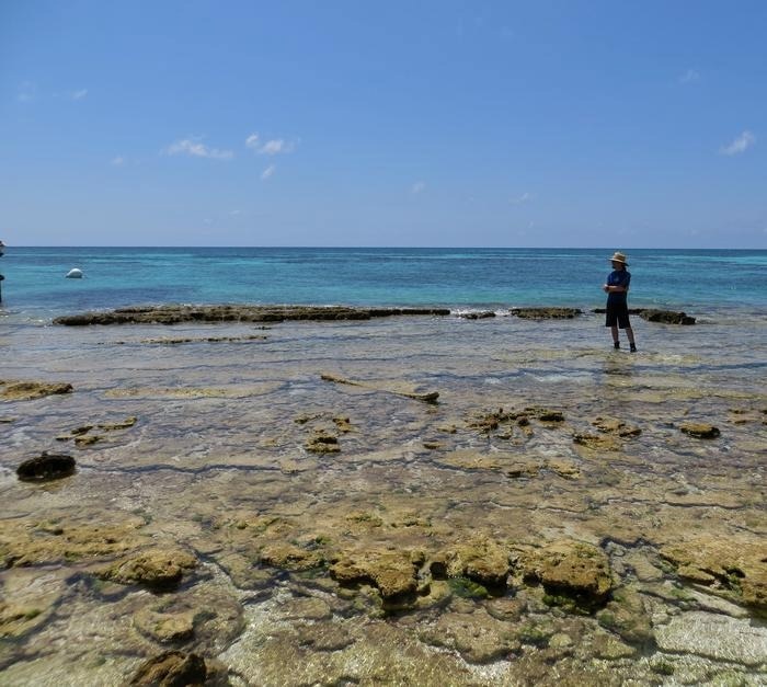 Impacts of Salinity Changes on Marine and Coastal Ecosystems