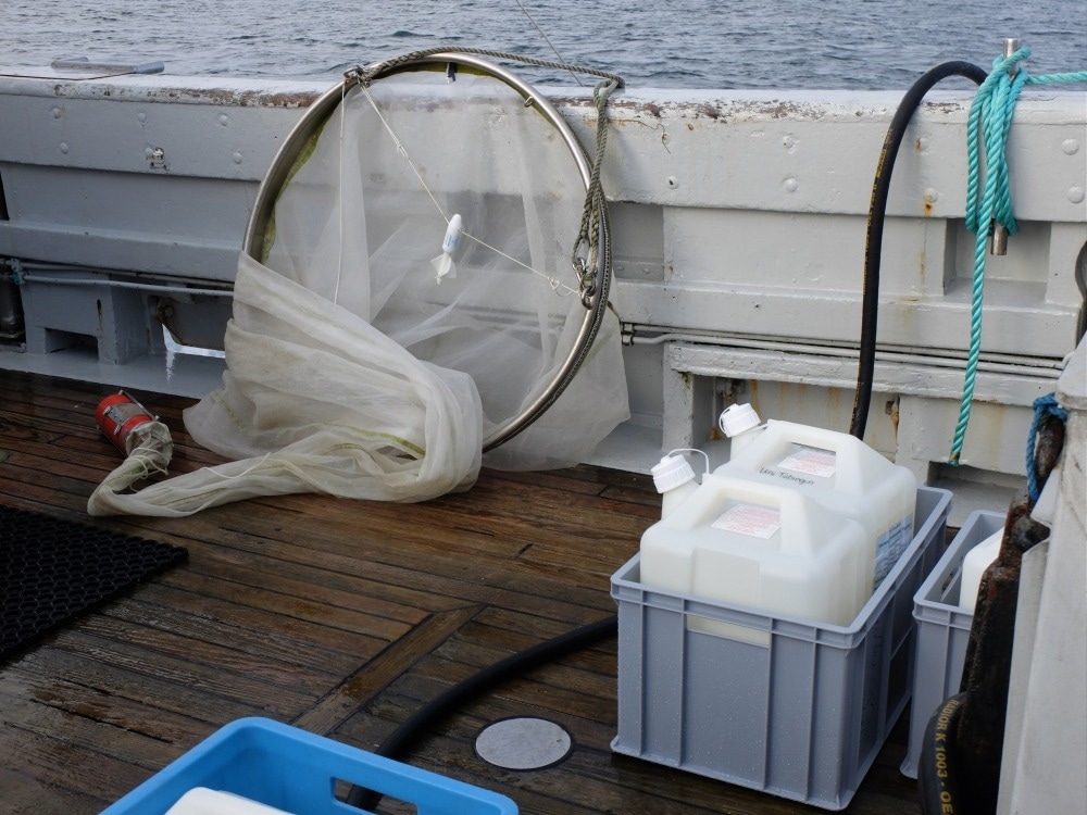 Biosurfactants: An Eco-Friendly Way to Clean Up Oil Spills