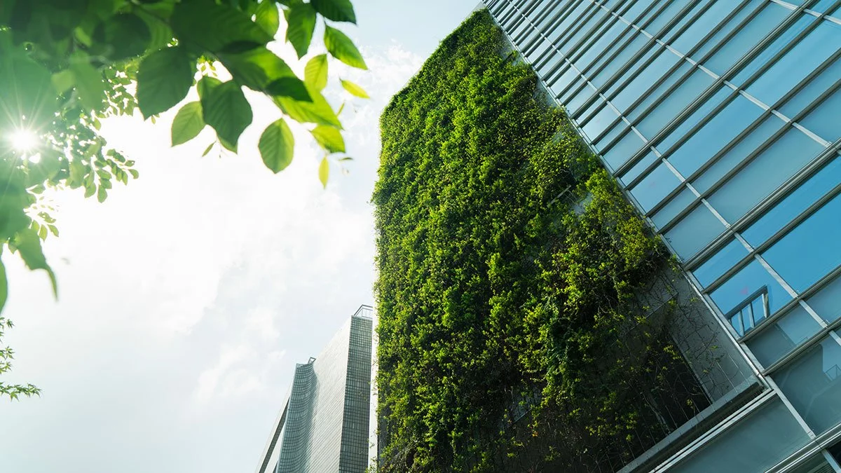 Are Nature-Based Solutions Being Used Equitably?