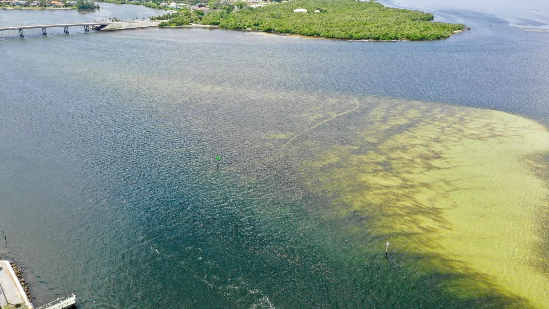 Rising Temperatures Offset Nitrogen Pollution in Waterways