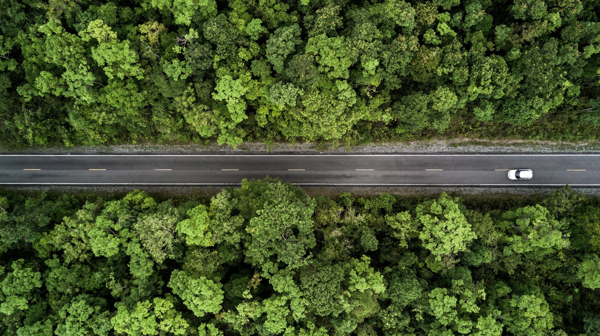 Ethanol Fuel Cells: A Breakthrough in Power Density Paves the Way for Sustainable Energy