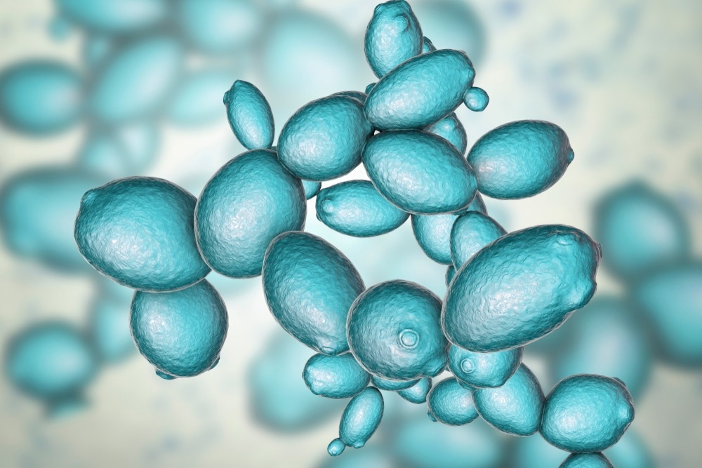 Population Dynamics of Saccharomyces cerevisiae in Biorefineries