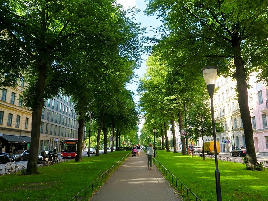 Green Infrastructure Key to Net Zero Carbon Cities