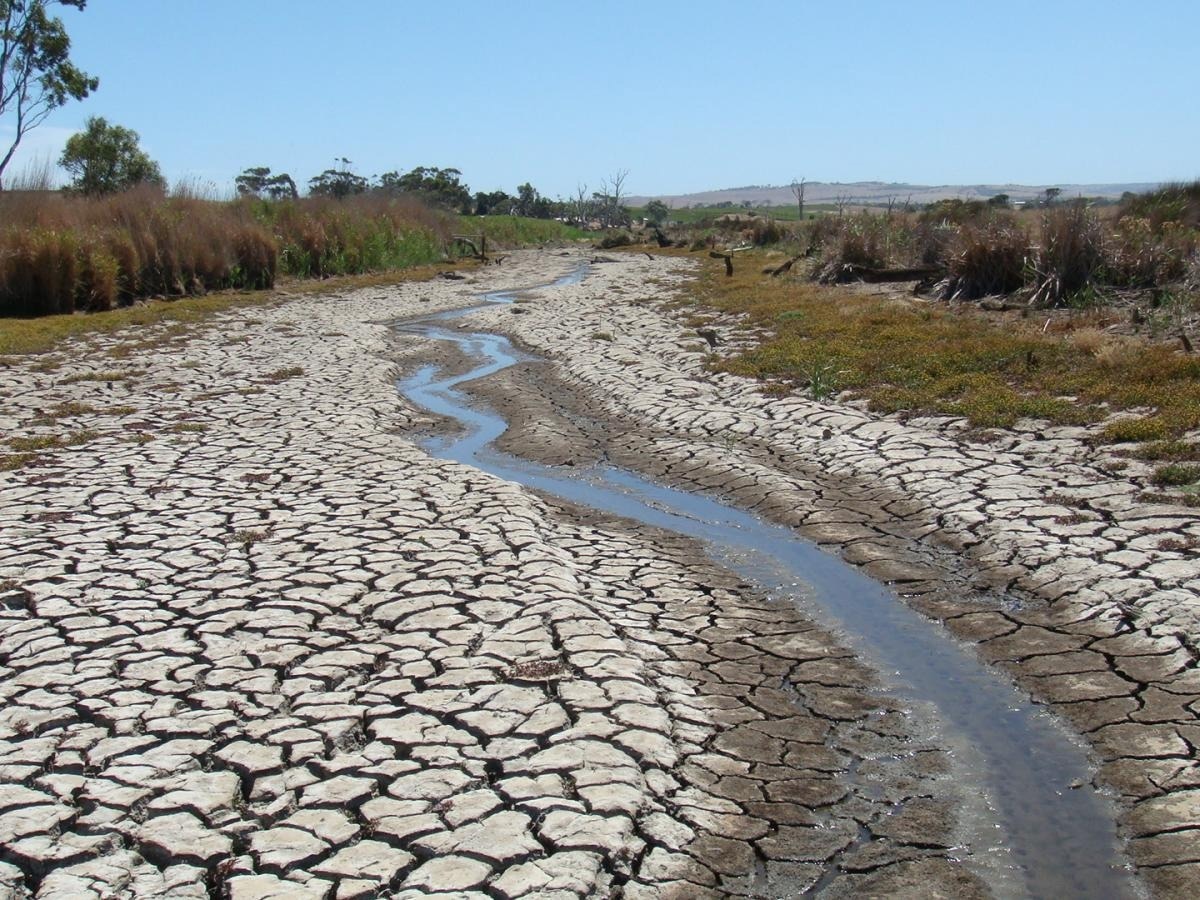 Climate Change and Extreme Weather Events Damage River Water Quality