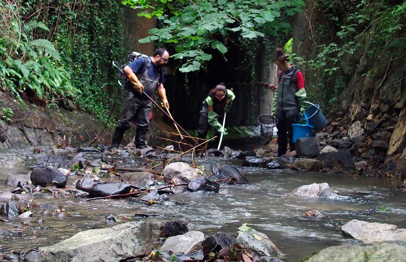 The Hidden Impact of Treated Wastewater on River Ecosystems