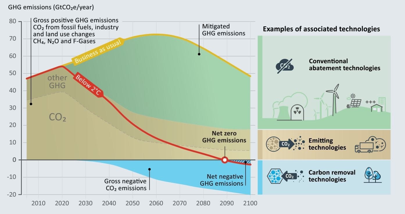Reforestation and Rainforest Preservation Preferred for Climate Action