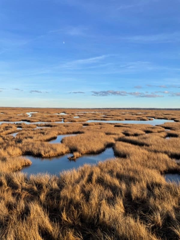 New Research Shifts Focus from Rivers to Uplands