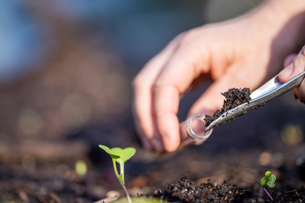 farmer collecting soil samples in a test tube in a field. Agronomist checking soil carbon and plant health on a farm