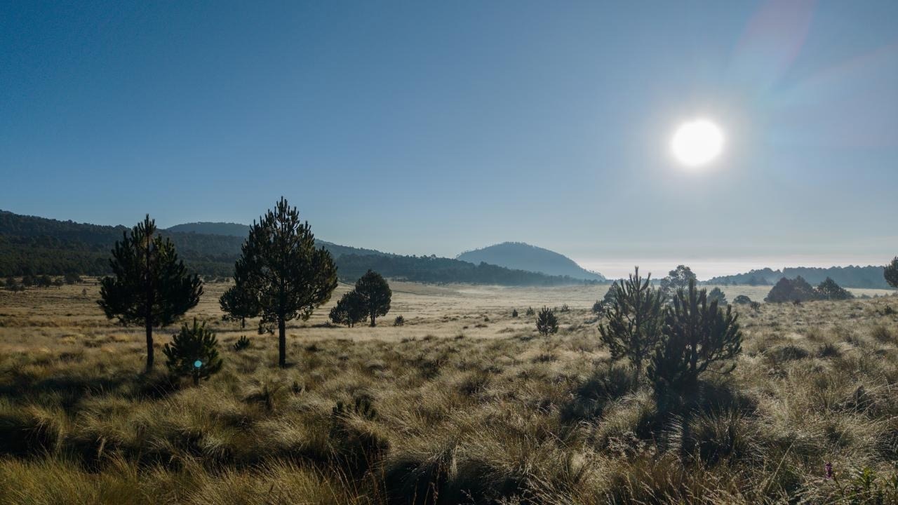 Influence of Unequal Climate on Global Values of Natural Capital
