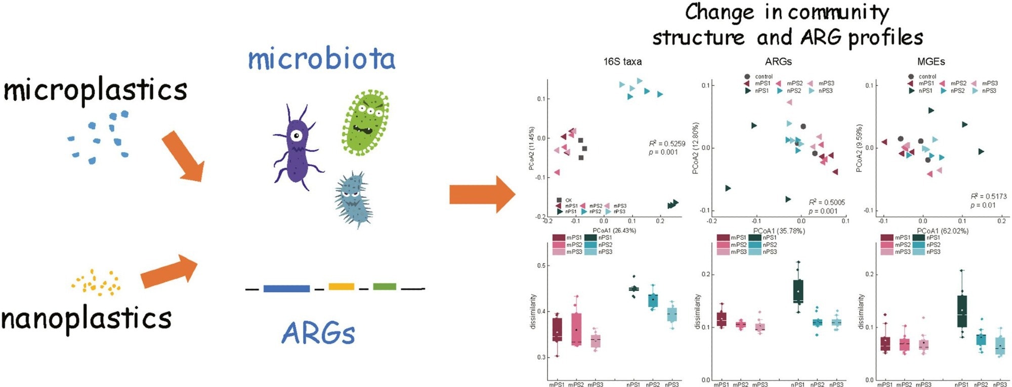Discovering How Microplastics Endanger Health and Soil