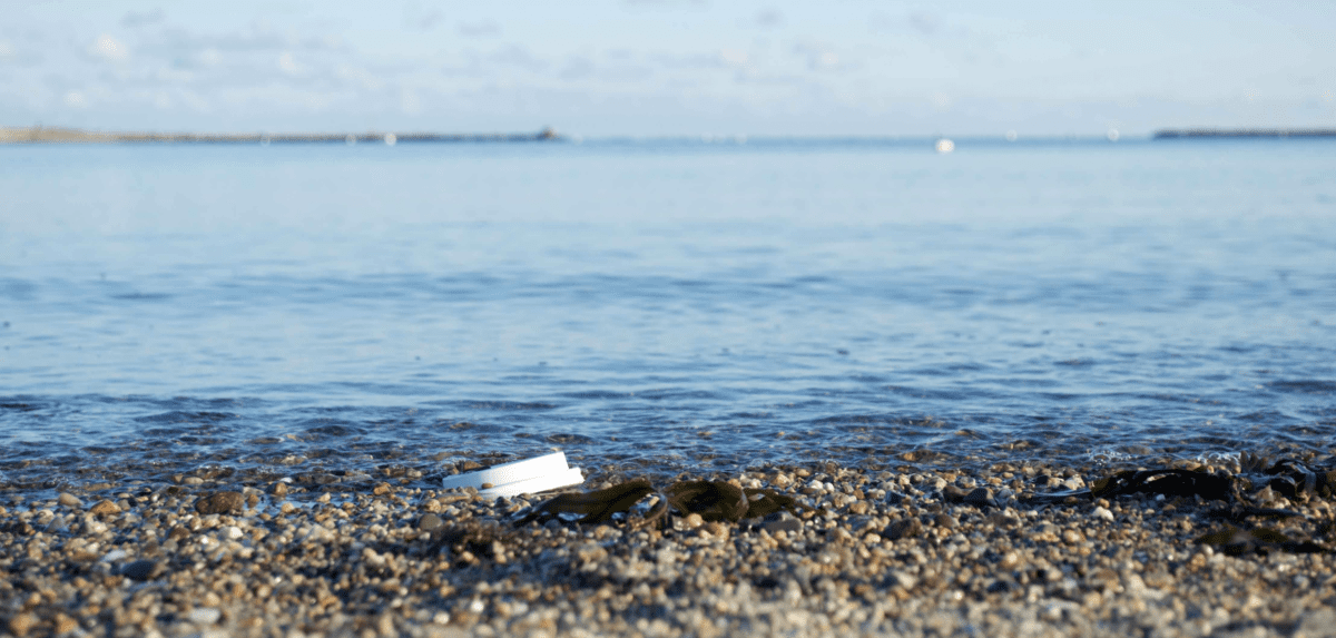 Ecodesign to Reduce the Effects of Plastic Pollution on the Environment