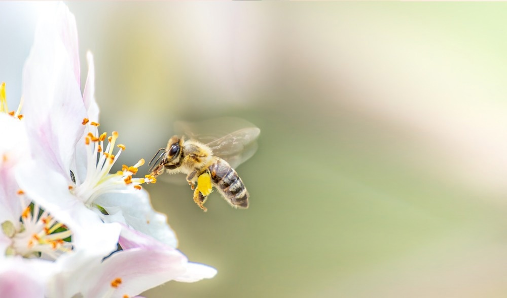 BeeHero Named on the 2024 Global Cleantech 100