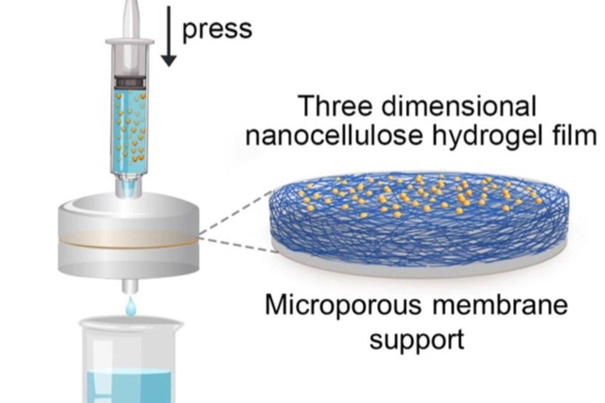 New Portable Filter Removes 99.9% of Particles From Dirty Water