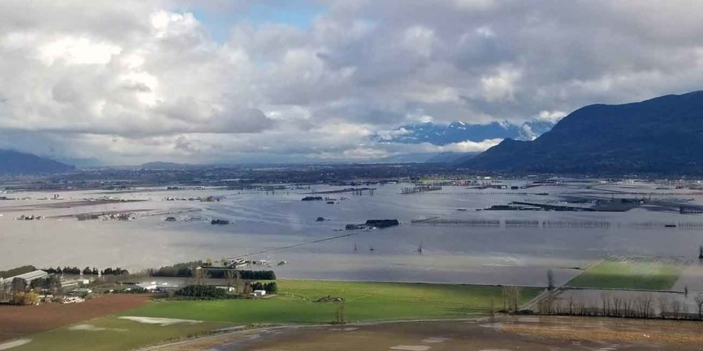 Sustainable Logging: Overcoming Worldwide Flooding Concerns