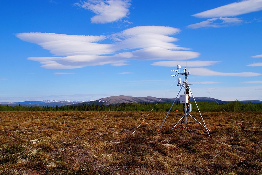 The Effect of Warming and Vegetation on Methane Emissions from Wetlands