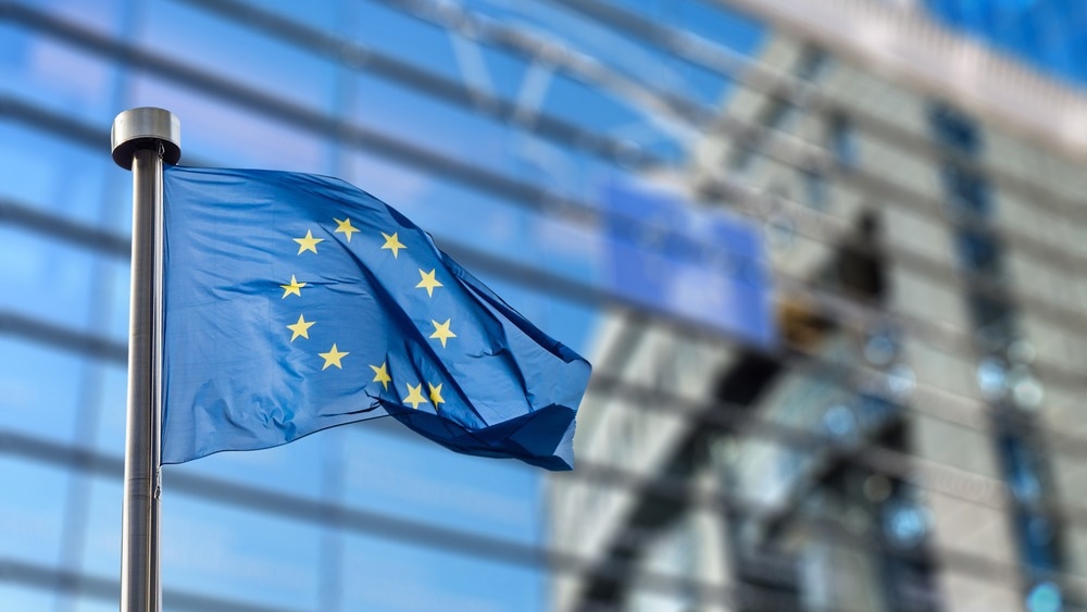 Electrification and Hydrogen in the European Energy Transition