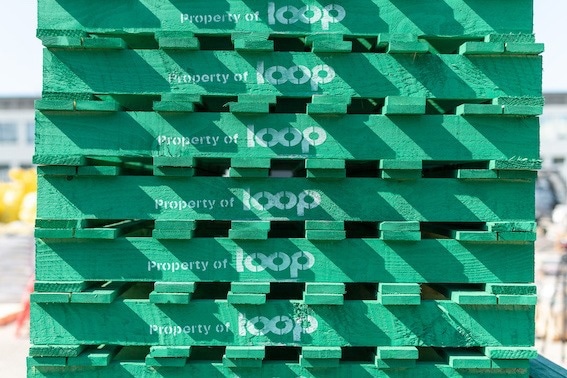 Changes at the Pallet Loop as Team Readies for Roll out of Circular Economy Pallets
