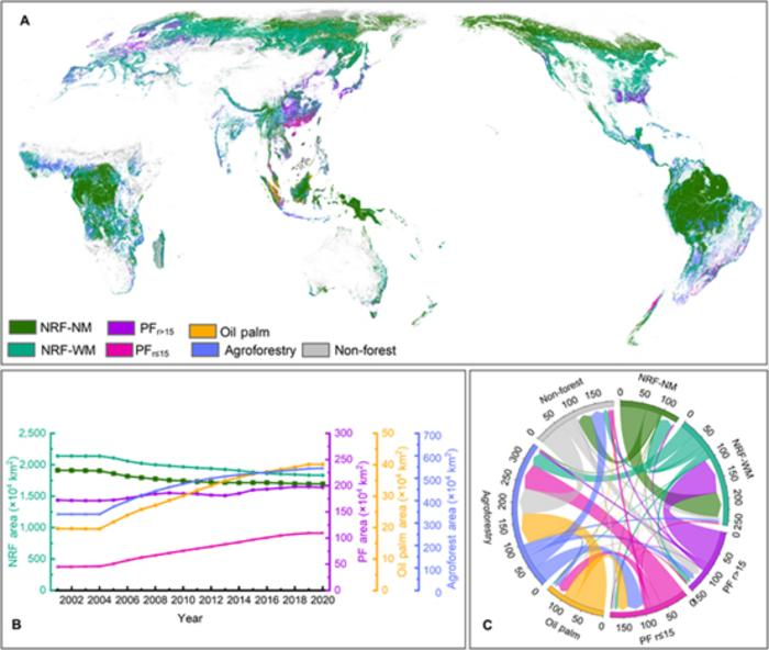 Understanding the Shifting Dynamics of Forests