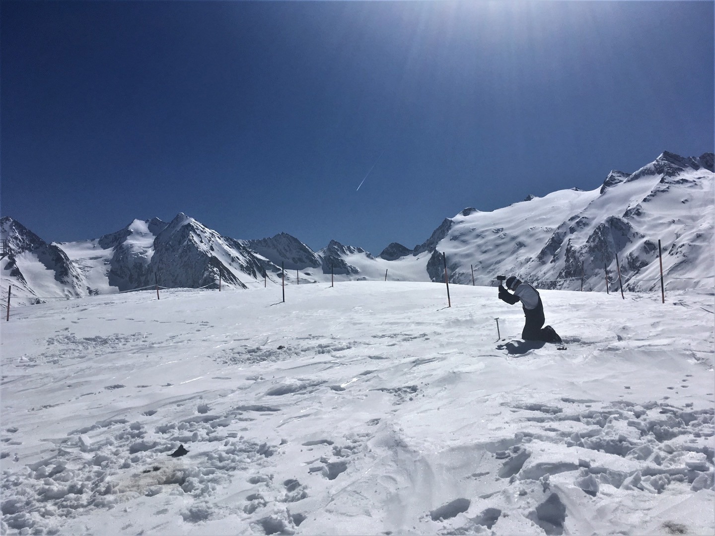 Impact of Climate Change on Ecosystems in the Alps