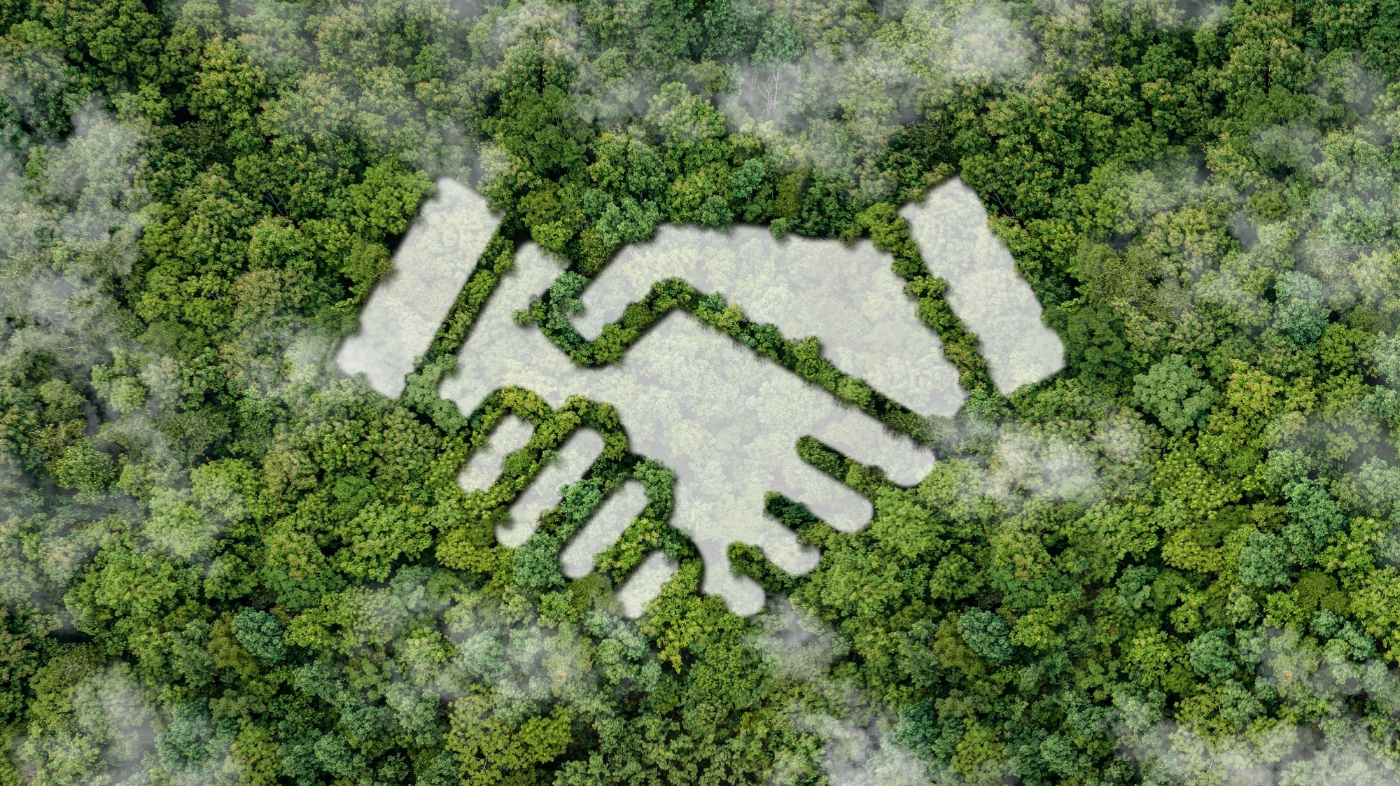 Carus LLC Selects Picarro as Technology Partner for Ethylene Oxide Emissions Monitoring and Abatement