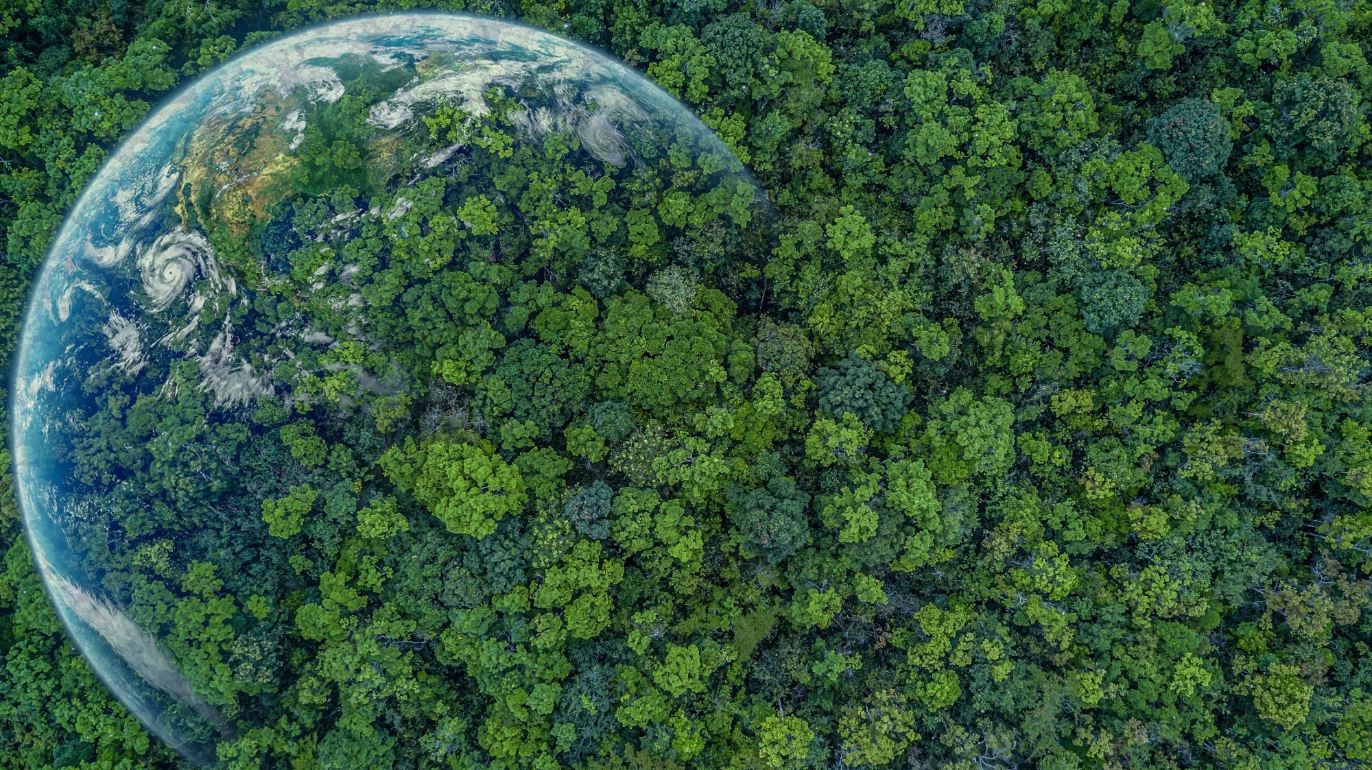 New Algorithm Paves Way for Higher Resolution Climate Predictions
