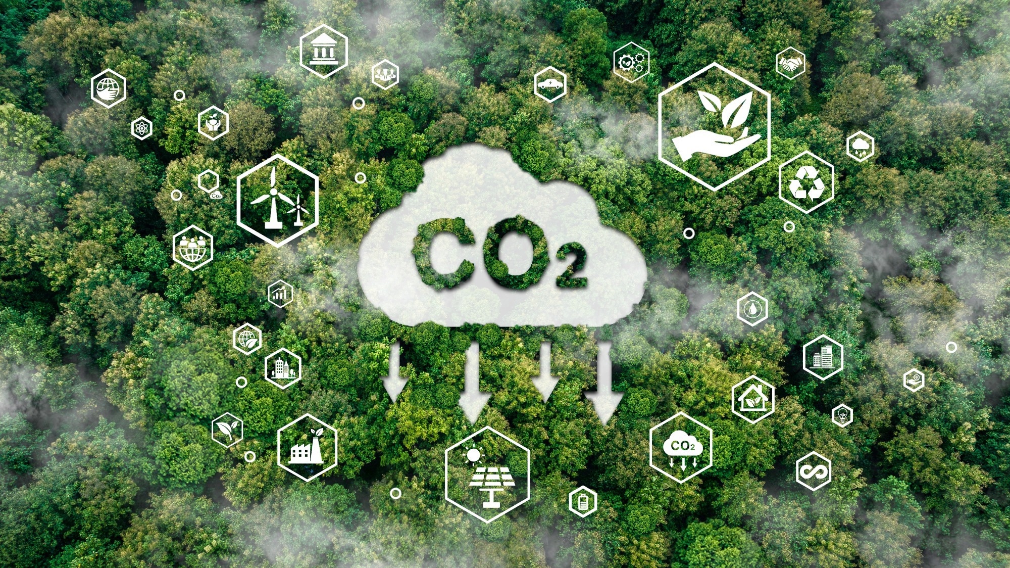 Current CO2 Removal Plans Insufficient to Meet Paris Agreement Goals