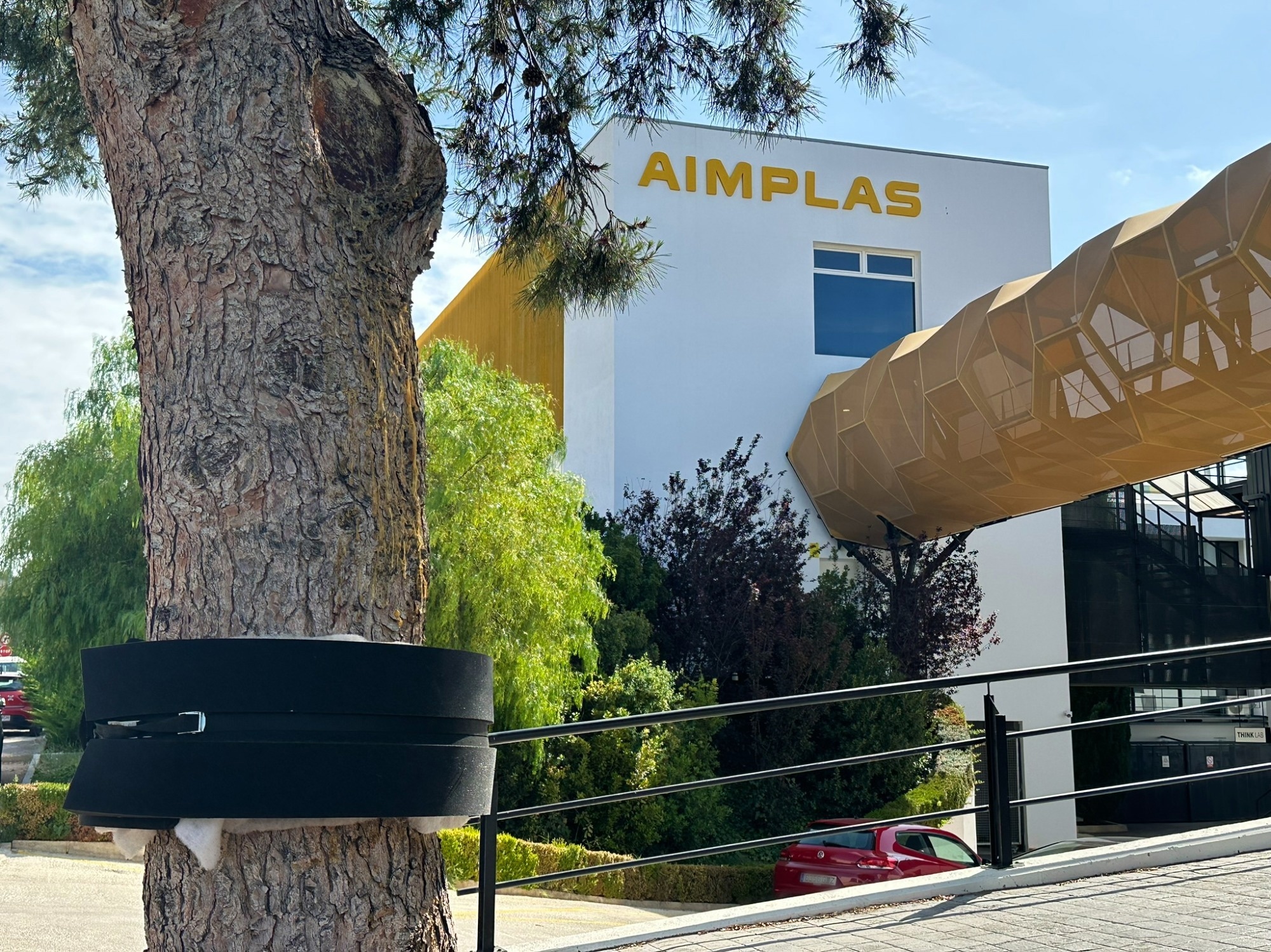The LIFE eGymer Project Successfully Tested Different Kinds of Chemical-Free Traps to Control the Gypsy Moth in Southern Europe Forests