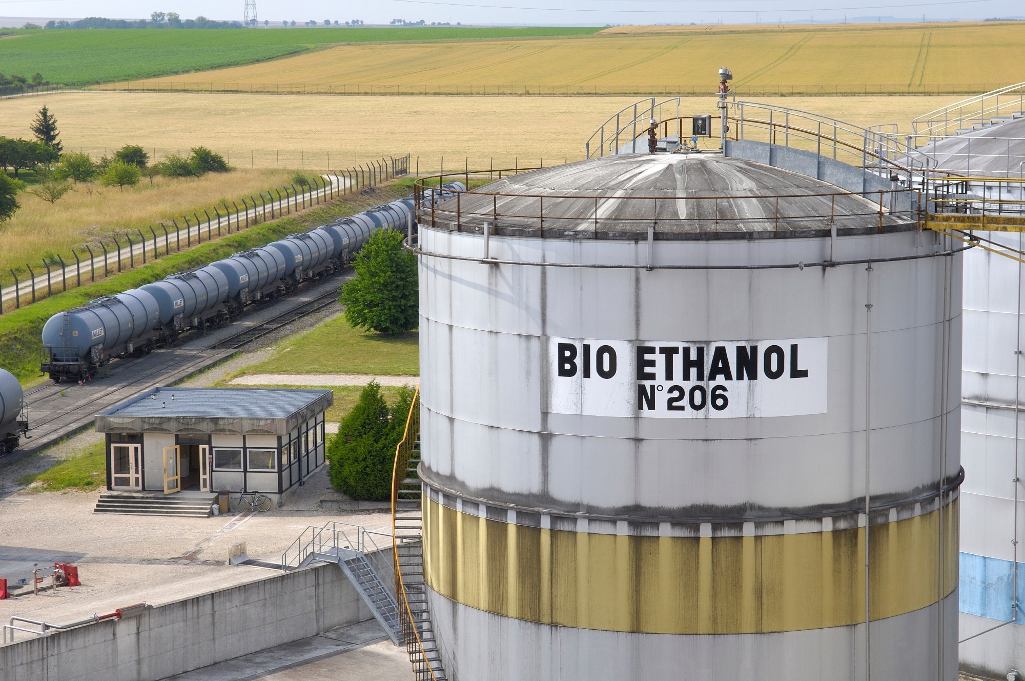 Breakthrough Study Enhances Bioethanol Production Efficiency