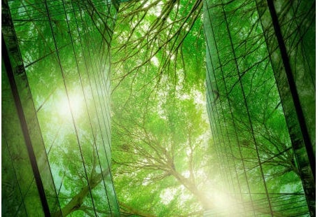 The Central Role of Energy Storage in Our Renewable Energy Future