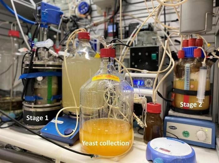 German Researchers Develop Sustainable Protein Source from Bacteria