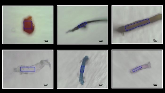 New Technique Reveals Microplastic Contamination in Coral