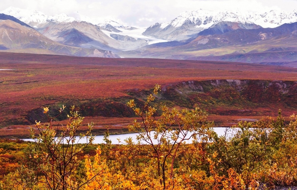 permafrost