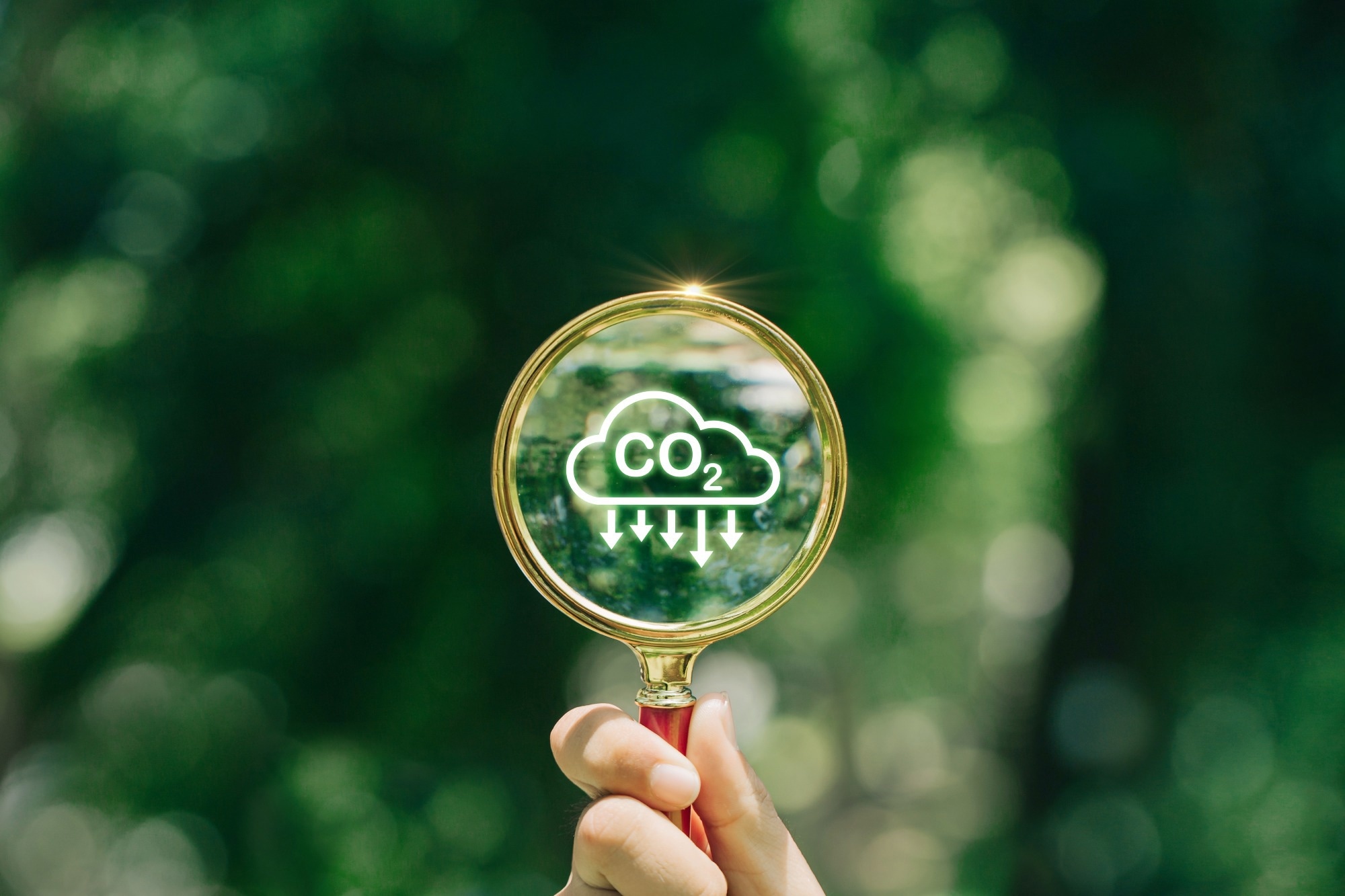 Climate Premium Model Boosts Public Support for Carbon Pricing