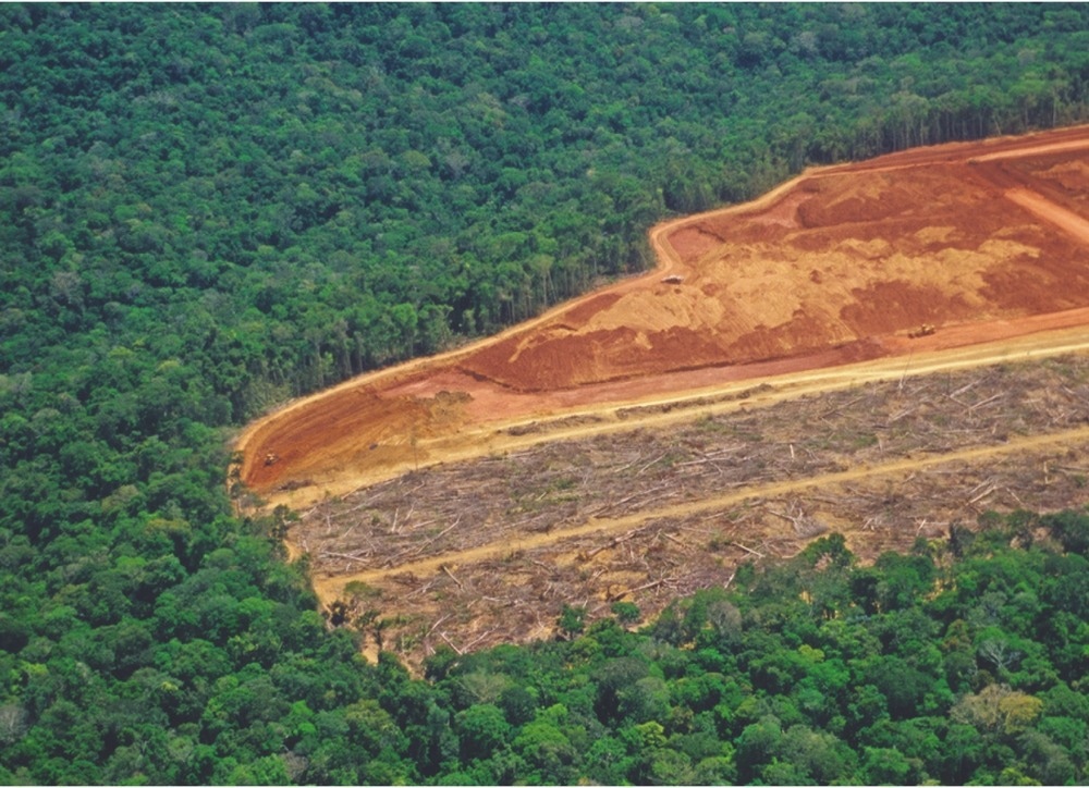soil ecosystem, climate change