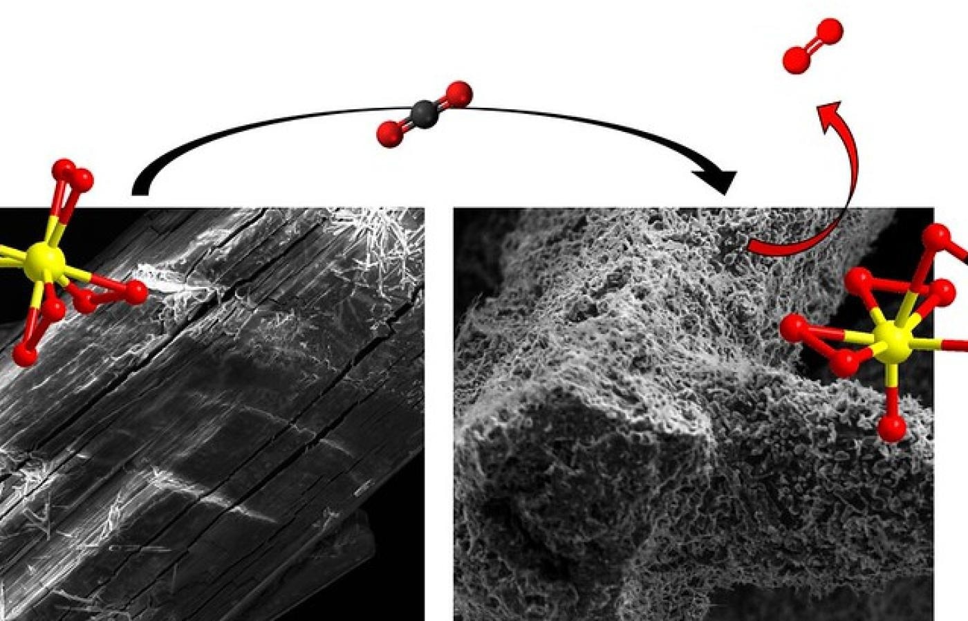 Scanning electron microscope images of the carbon capture titanium molecules before and after exposure to air.