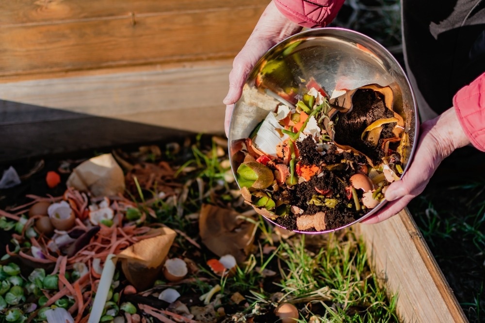 Revolutionizing Waste Management: Insect-Driven Bioconversion
